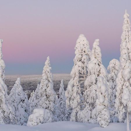 Northern Bliss Hideaway Rovaniemi Eksteriør billede