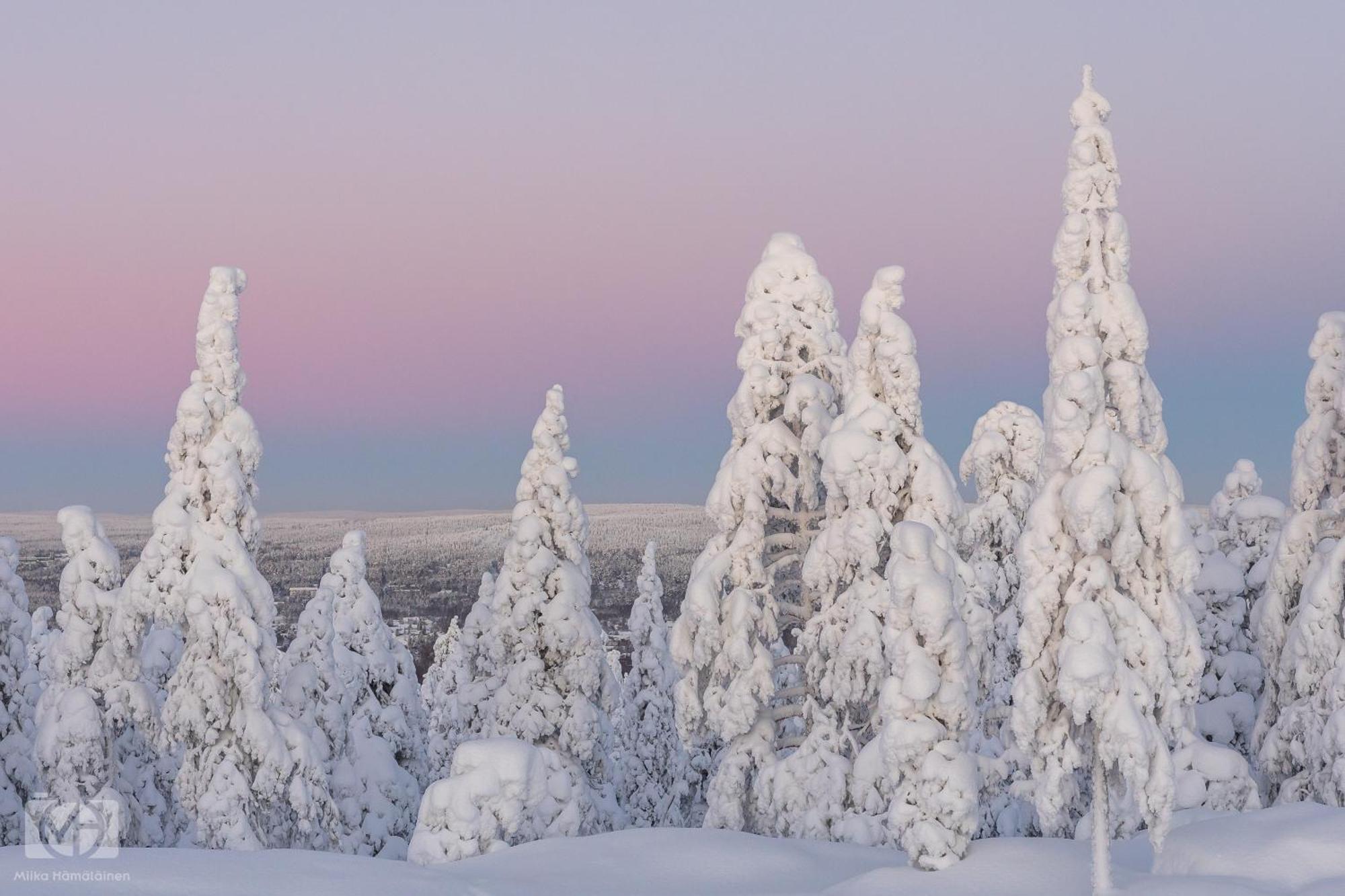 Northern Bliss Hideaway Rovaniemi Eksteriør billede